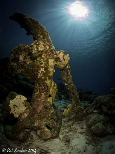Getting close to the end of our dive, I found this anchor... by Patricia Sinclair 